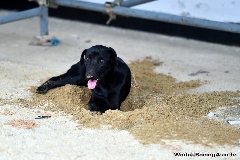 2015.05 Nakhonchaisi Drag Racing Reunion & Party RacingAsia.tv