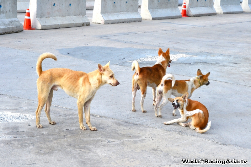 2015.07 Pathumthani All Star Drift #3 RacingAsia.tv