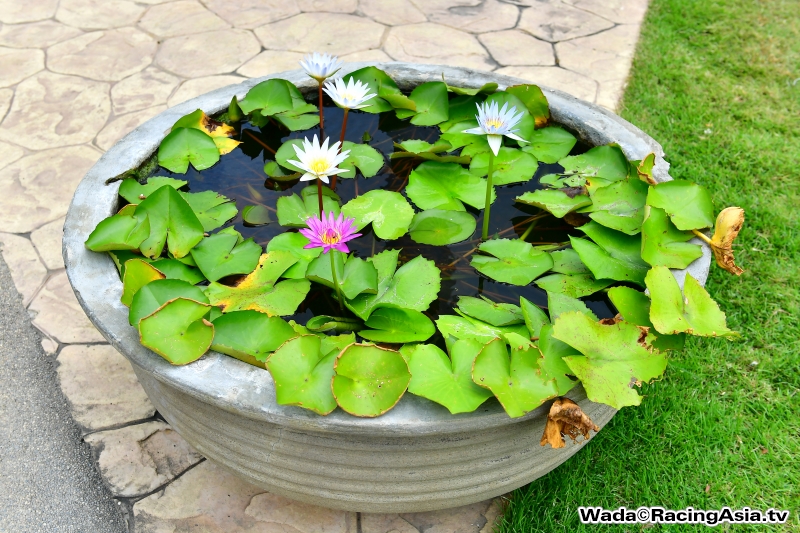 2016.08 BKK VIPSTYLE Magazine shooting RacingAsia.tv